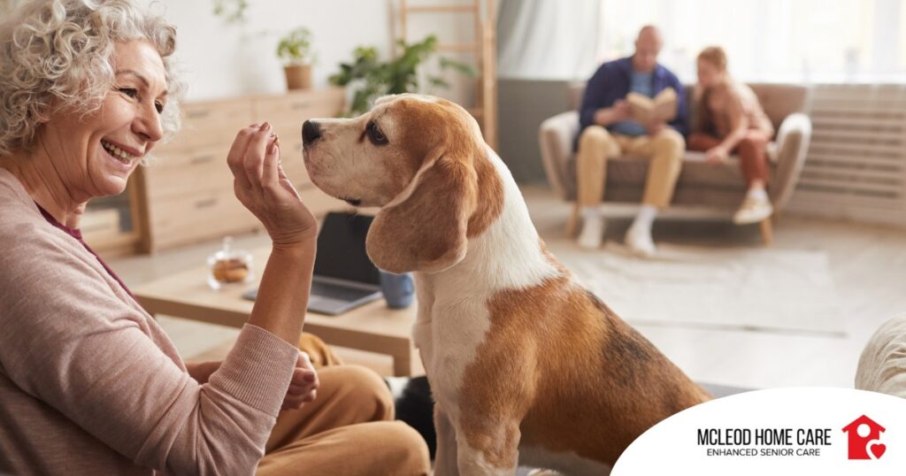 An older woman smiles while giving a dog a treat, representing the joy that dogs can bring.