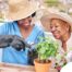 Caregiver and Senior gardening as part of companion care activities.